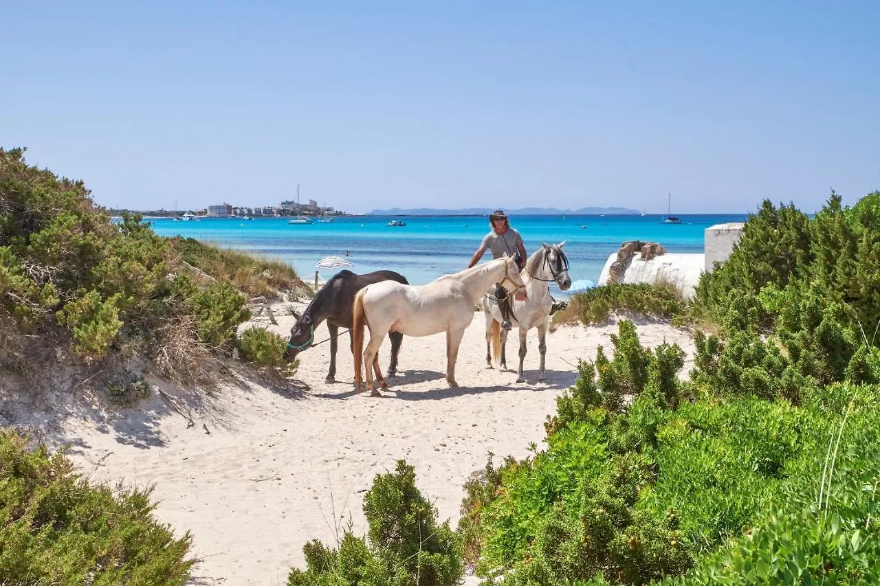 Villa Mallorca Dream Ses Salines  Spanien